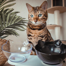 Load image into Gallery viewer, Cat Food Bowl
